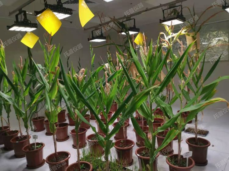 1698396212404636.jpg f523da43607da72c3f9cfdef45cb59f5_1693036988253168.jpg